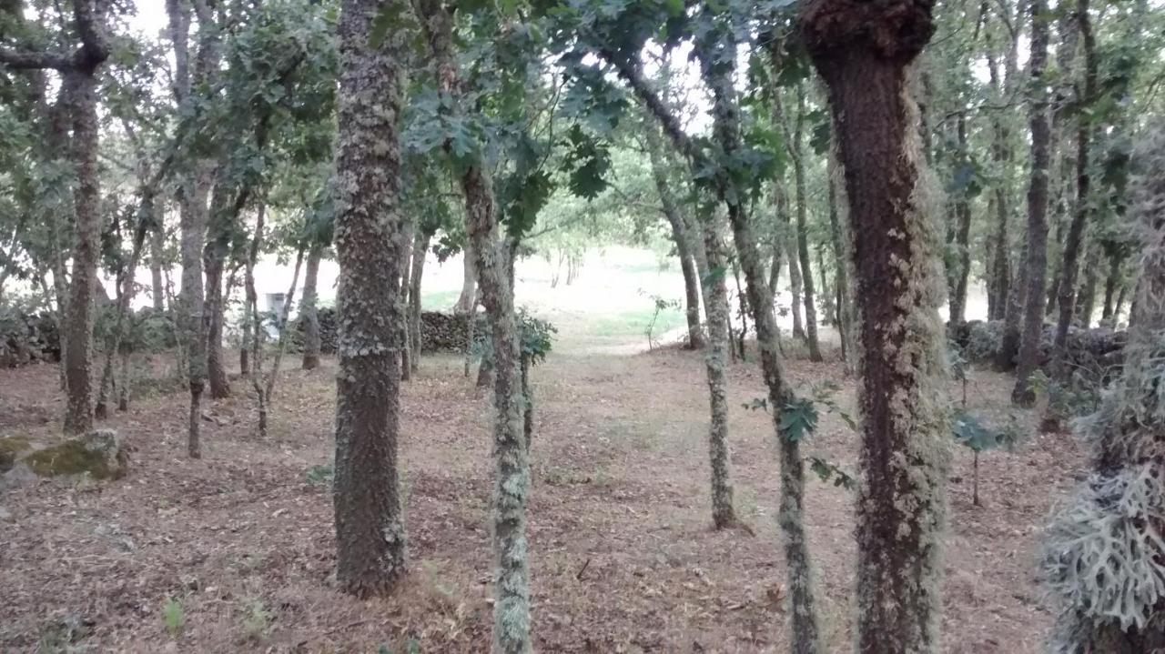 Las Casitas De Las Arribes Otel Aldeadávila de la Ribera Dış mekan fotoğraf